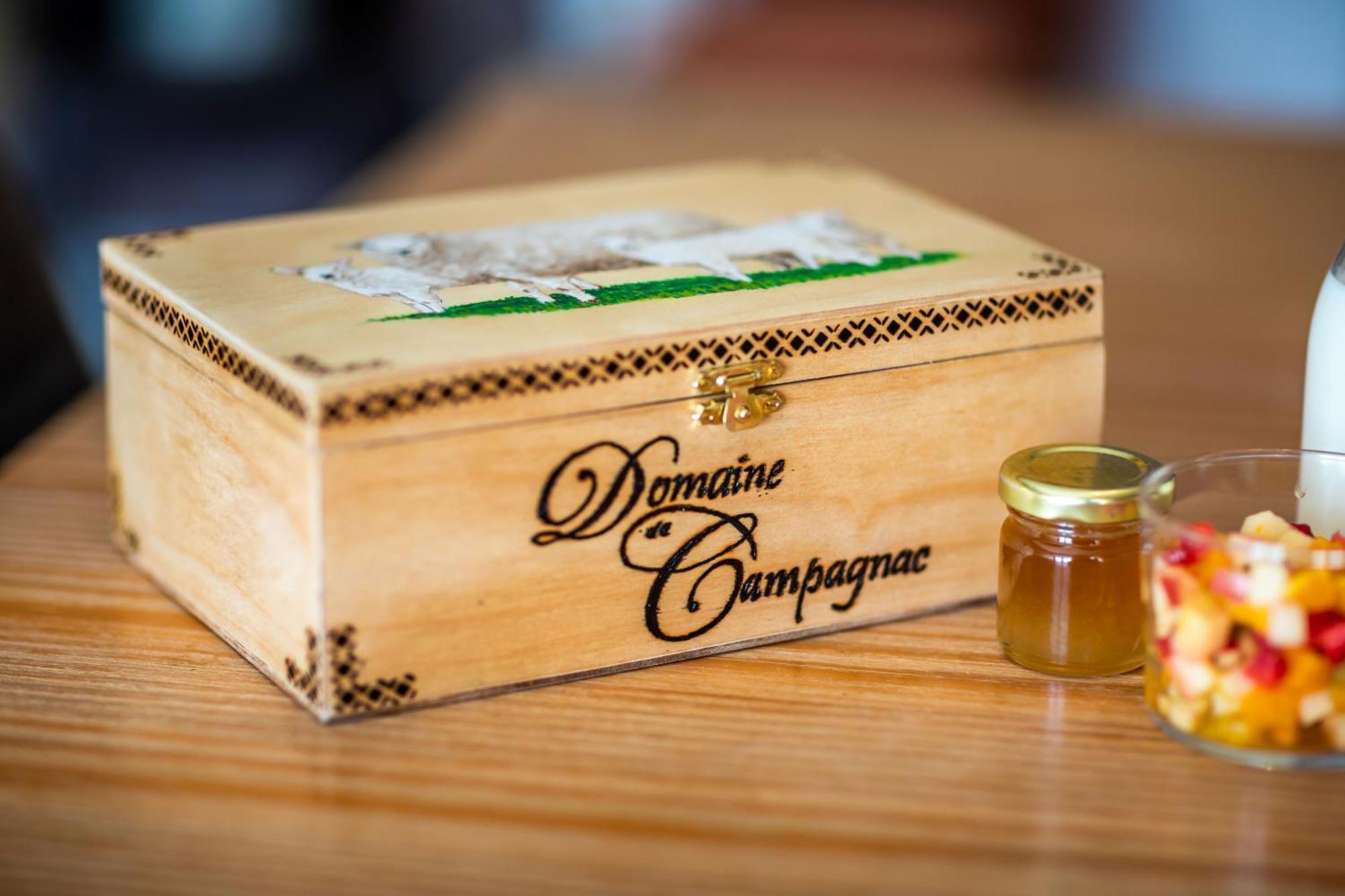 Domaine De Campagnac - Spa & Sauna Carsac-Aillac ภายนอก รูปภาพ