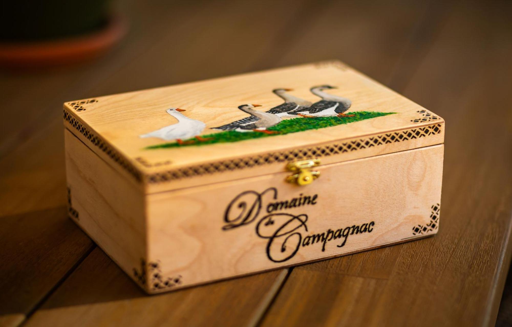 Domaine De Campagnac - Spa & Sauna Carsac-Aillac ภายนอก รูปภาพ